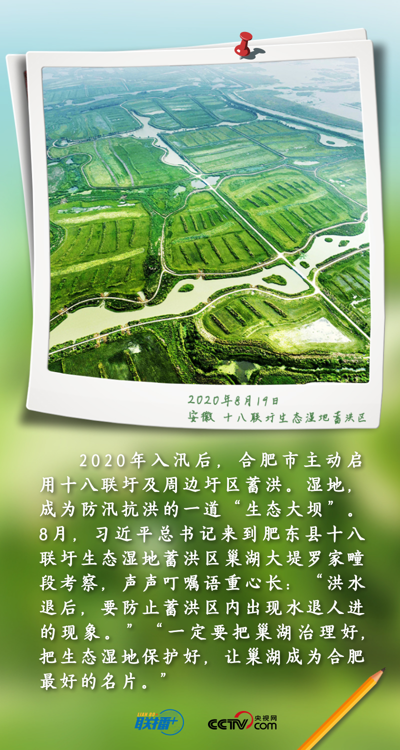 聯播+丨跟著總書記守護“地球之腎”
