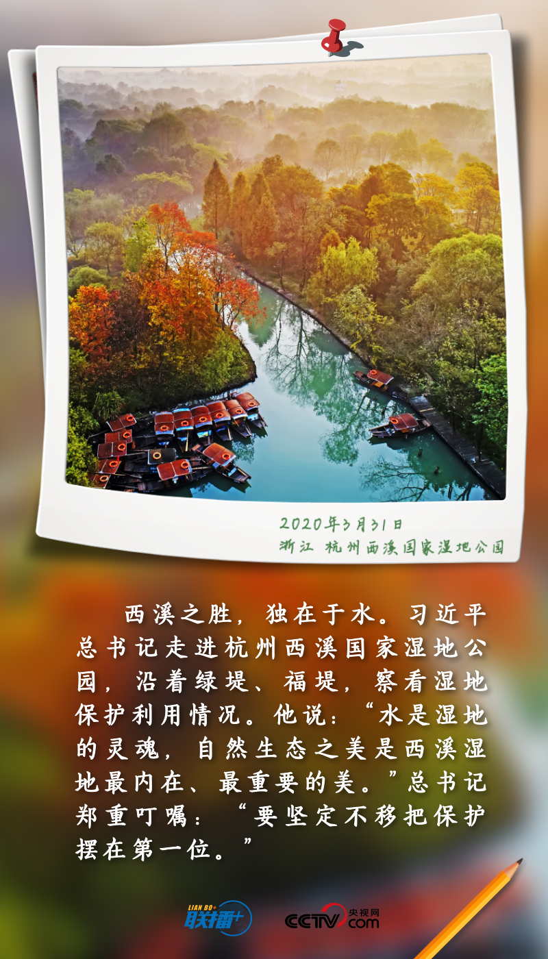 聯播+丨跟著總書記守護“地球之腎”