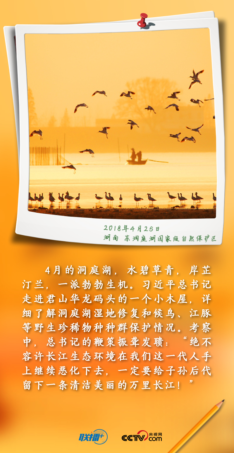 聯播+丨跟著總書記守護“地球之腎”