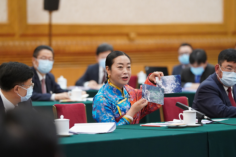 兩會繪中國｜“像保護眼睛一樣保護生態環境”