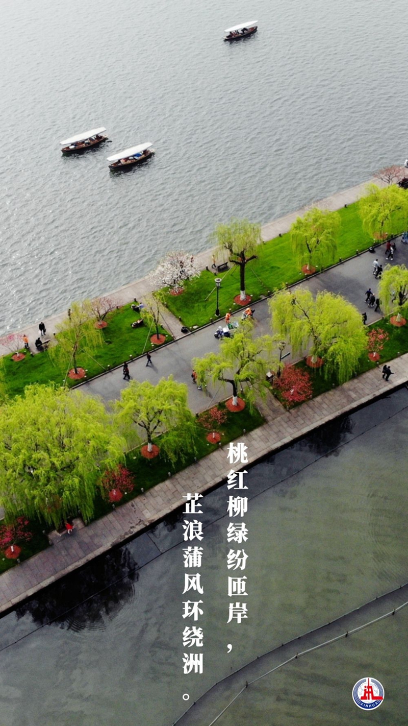 新華全媒+丨植樹傳統，從古詩中走來