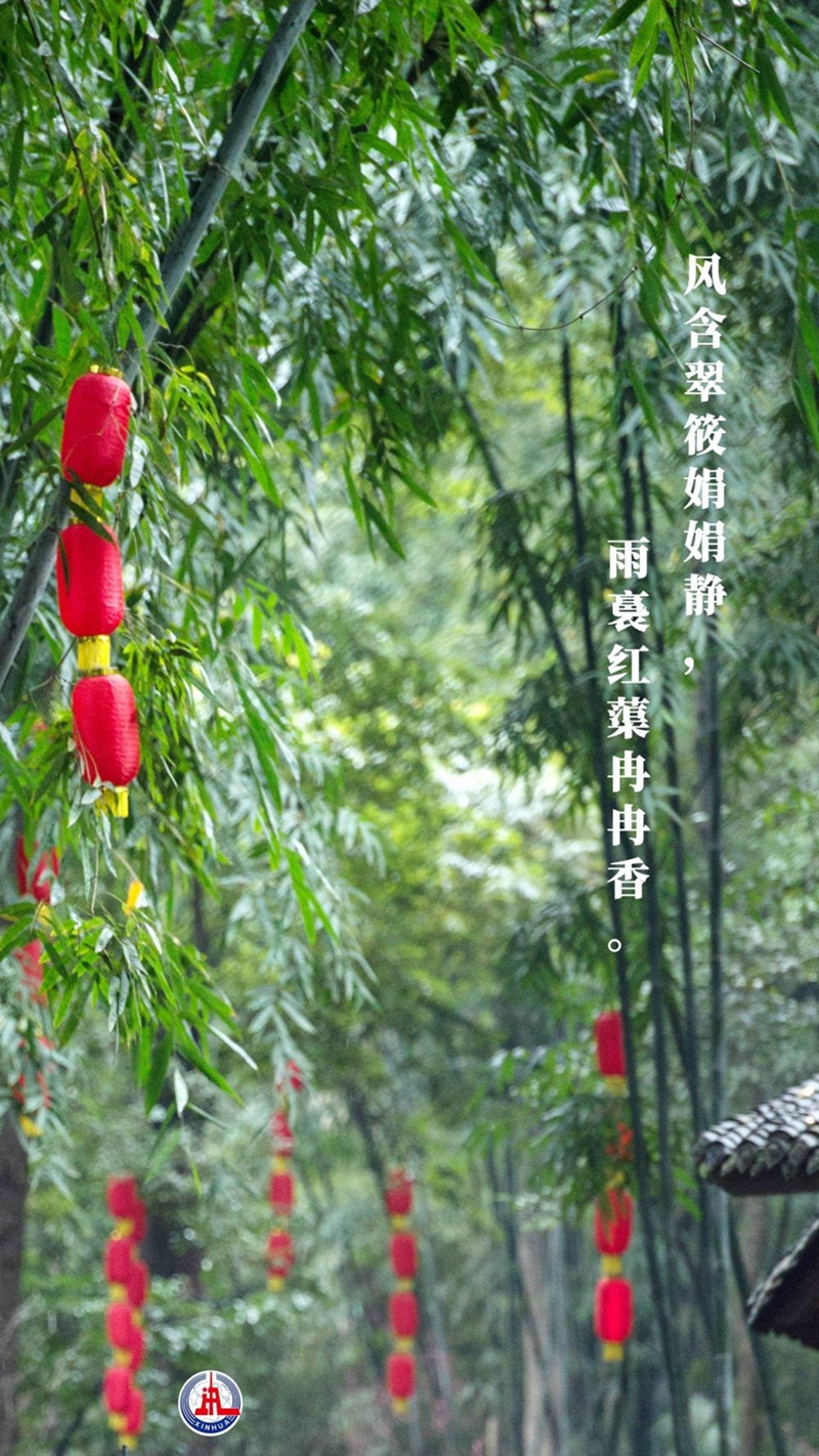 新華全媒+丨植樹傳統，從古詩中走來