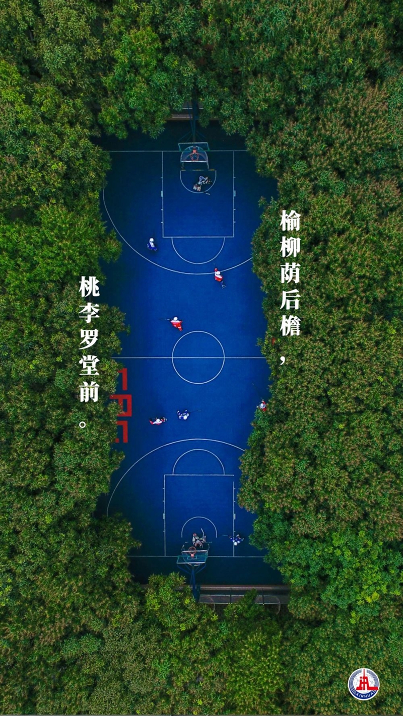 新華全媒+丨植樹傳統，從古詩中走來