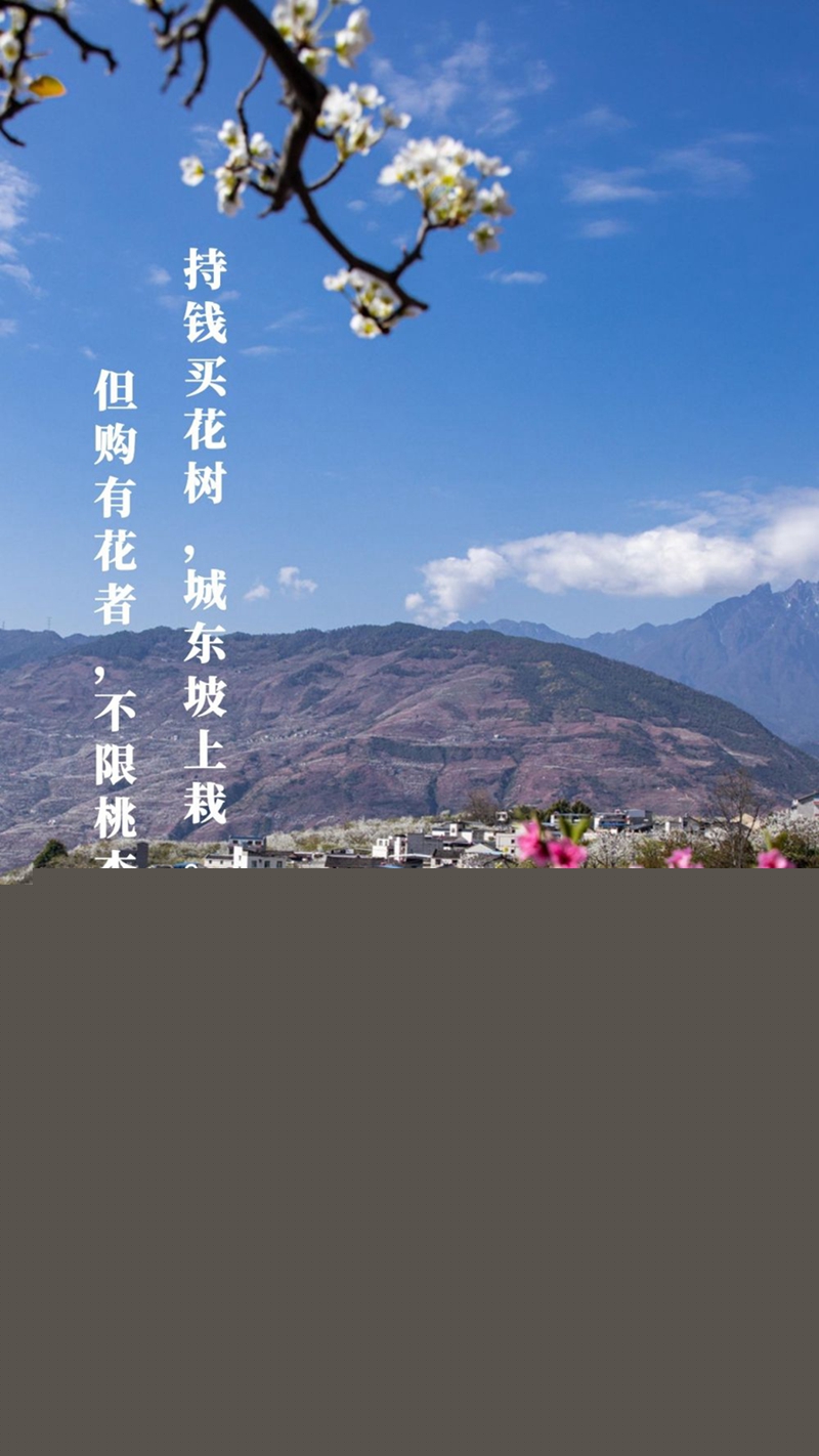 新華全媒+丨植樹傳統，從古詩中走來