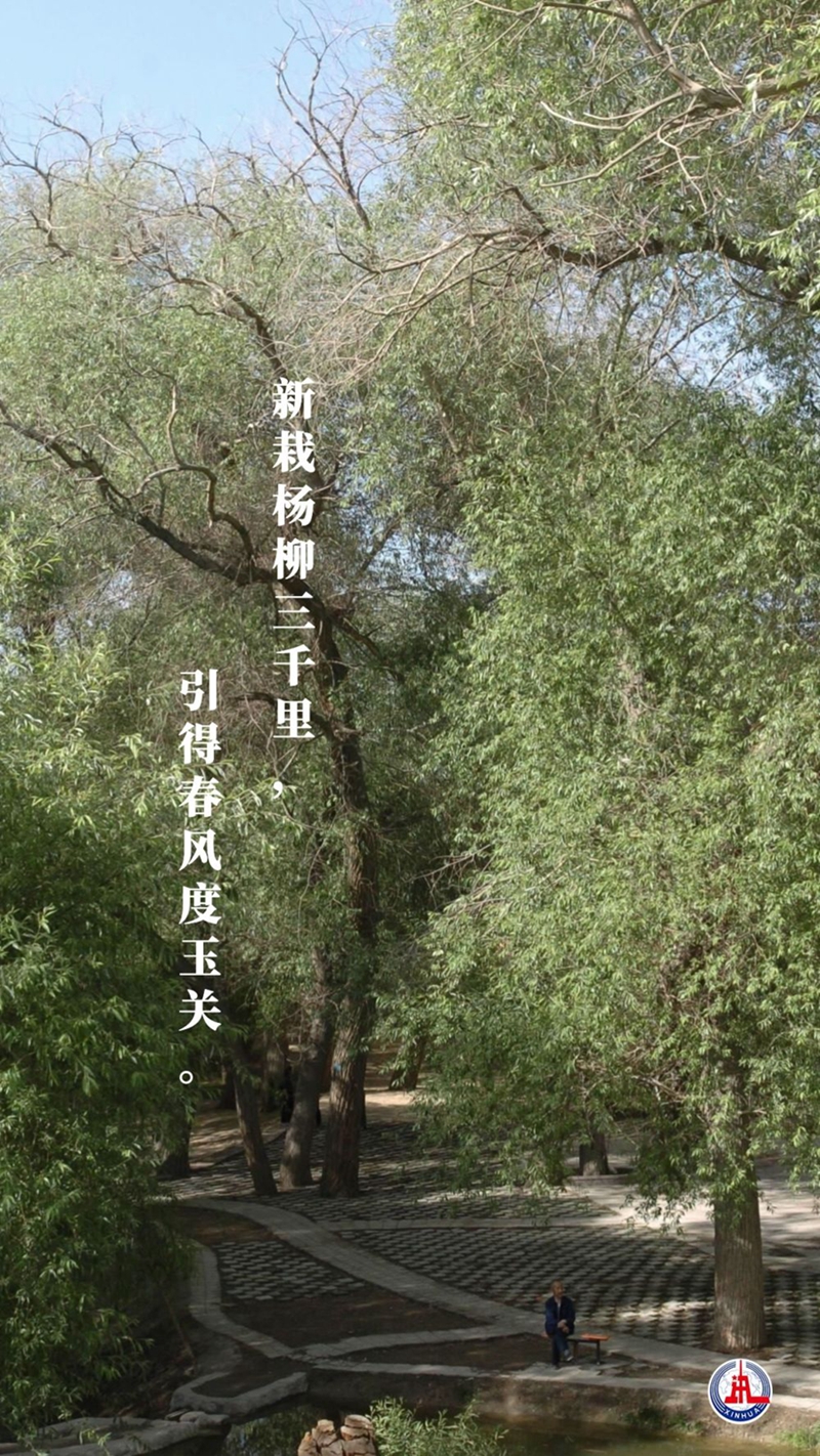 新華全媒+丨植樹傳統，從古詩中走來