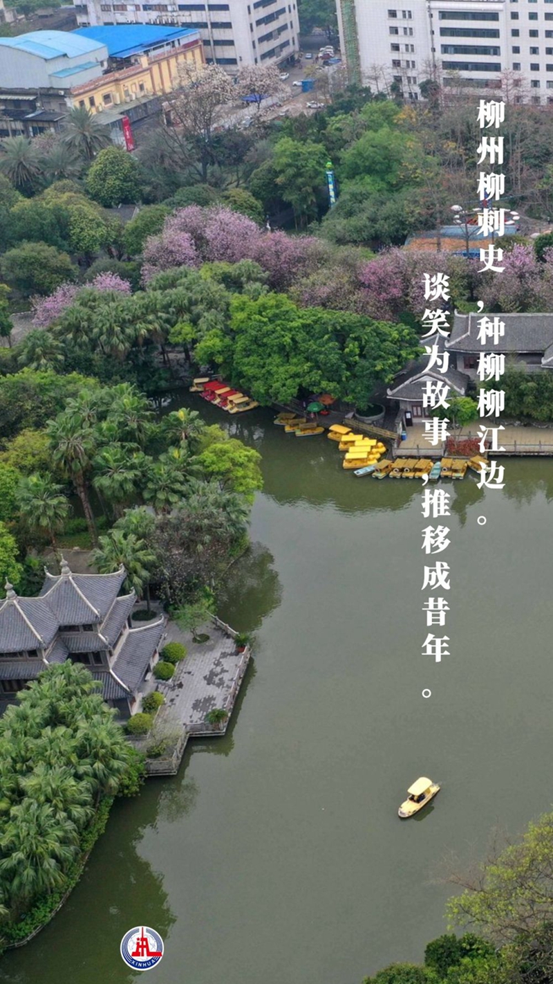 新華全媒+丨植樹傳統，從古詩中走來