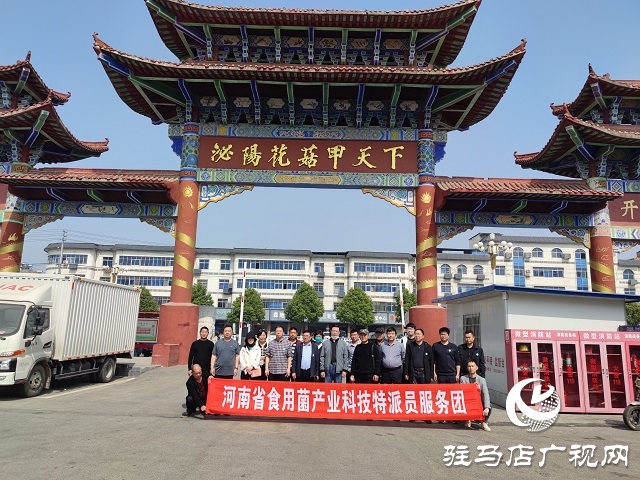 以“菇”會友  舞陽縣食用菌協會深入泌陽縣菌菇基地觀摩學習