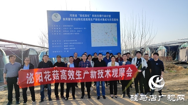 以“菇”會友  舞陽縣食用菌協會深入泌陽縣菌菇基地觀摩學習
