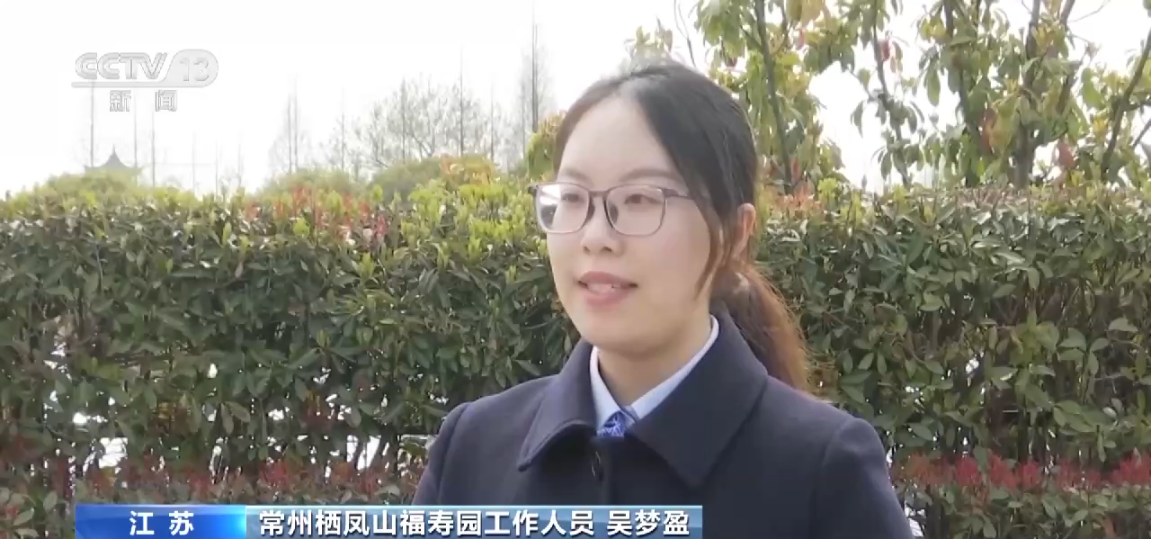 清明節將至 多樣祭祀方式讓思念有“形”更有“情”