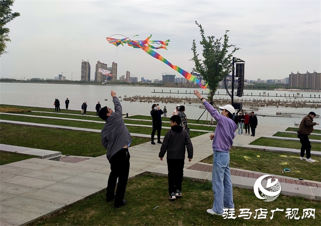 陽光明媚 春風習習?公園放風箏人氣高 
