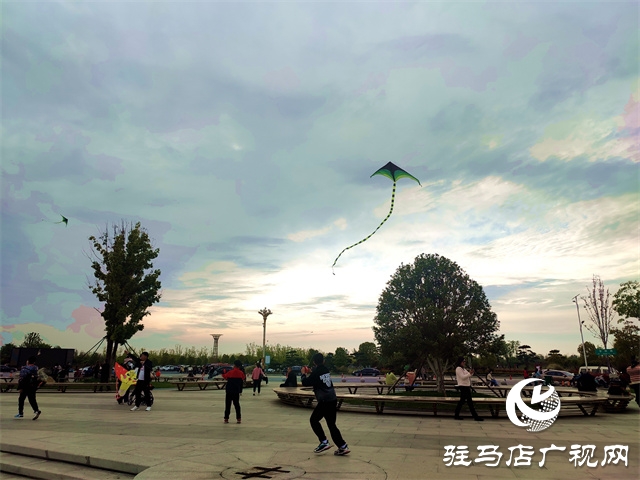 陽光明媚 春風習習?公園放風箏人氣高 