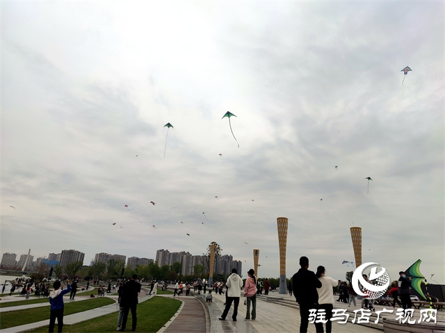 陽光明媚 春風習習?公園放風箏人氣高 