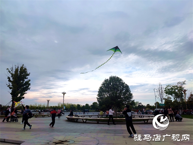 陽光明媚 春風習習?公園放風箏人氣高 