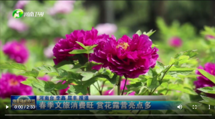 春季文旅消費旺 賞花露營亮點多