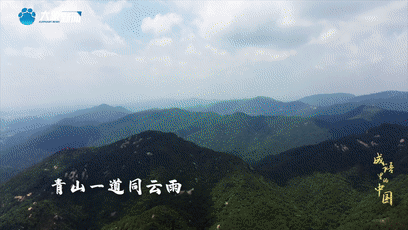 《成語里的中國》：天下為公