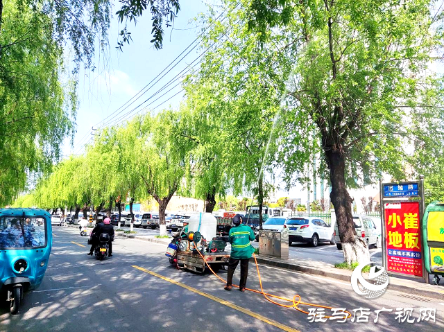 開發區城管局精準治理柳絮