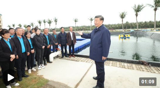 獨家視頻丨習近平在廣東考察調研