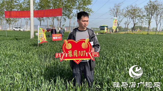 重磅！噸源種業再添強勢小麥品種，豫同107助農增產豐收！