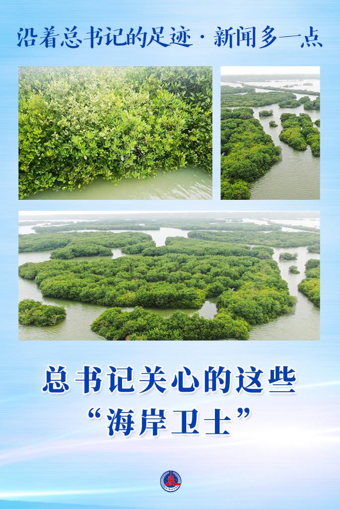沿著總書記的足跡·新聞多一點丨總書記關心的這些“海岸衛士”