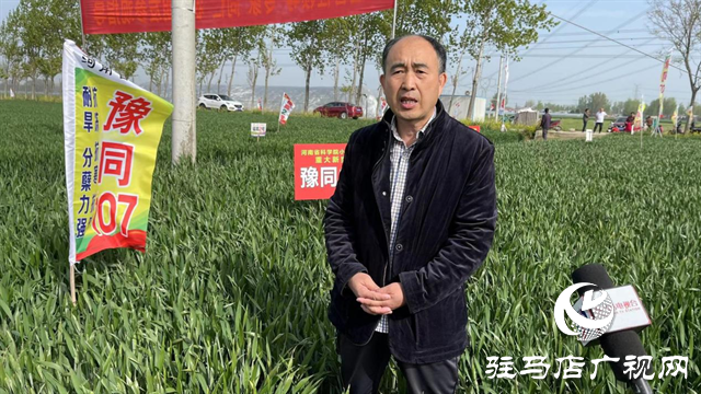 重磅！噸源種業再添強勢小麥品種，豫同107助農增產豐收！