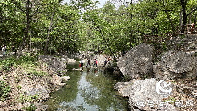 祥龍谷景區第三屆“山花節”暨旅行社采線啟動儀式成功舉行
