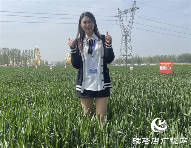 重磅！噸源種業再添強勢小麥品種，豫同107助農增產豐收！