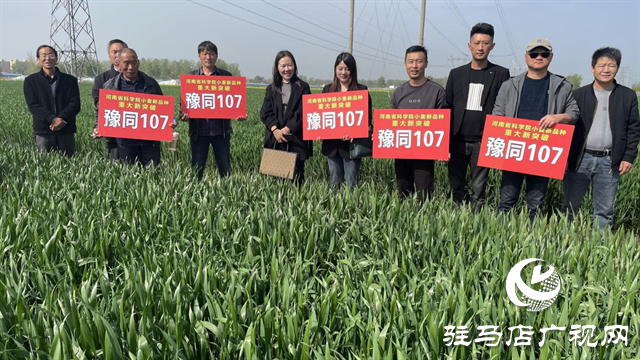 重磅！噸源種業再添強勢小麥品種，豫同107助農增產豐收！