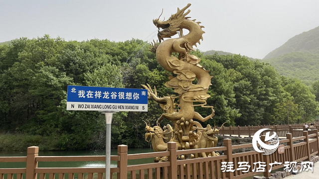 祥龍谷景區第三屆“山花節”暨旅行社采線啟動儀式成功舉行