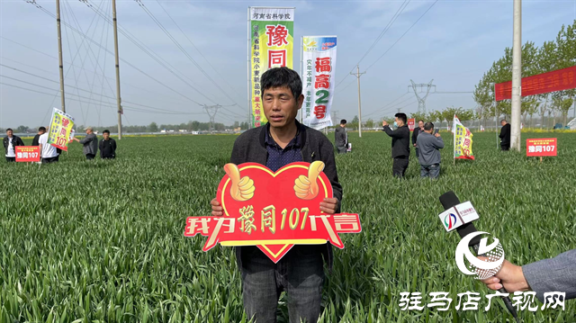重磅！噸源種業再添強勢小麥品種，豫同107助農增產豐收！