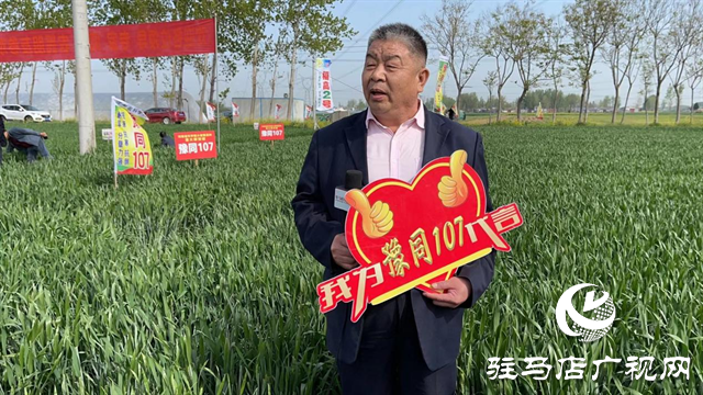 重磅！噸源種業再添強勢小麥品種，豫同107助農增產豐收！