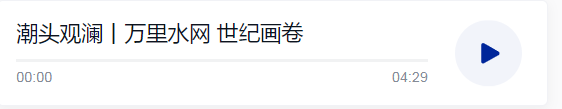  潮頭觀瀾丨萬里水網 世紀畫卷