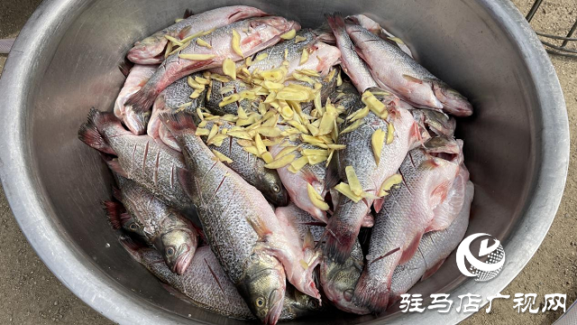 農村宴席 駐馬店最溫暖的記憶！