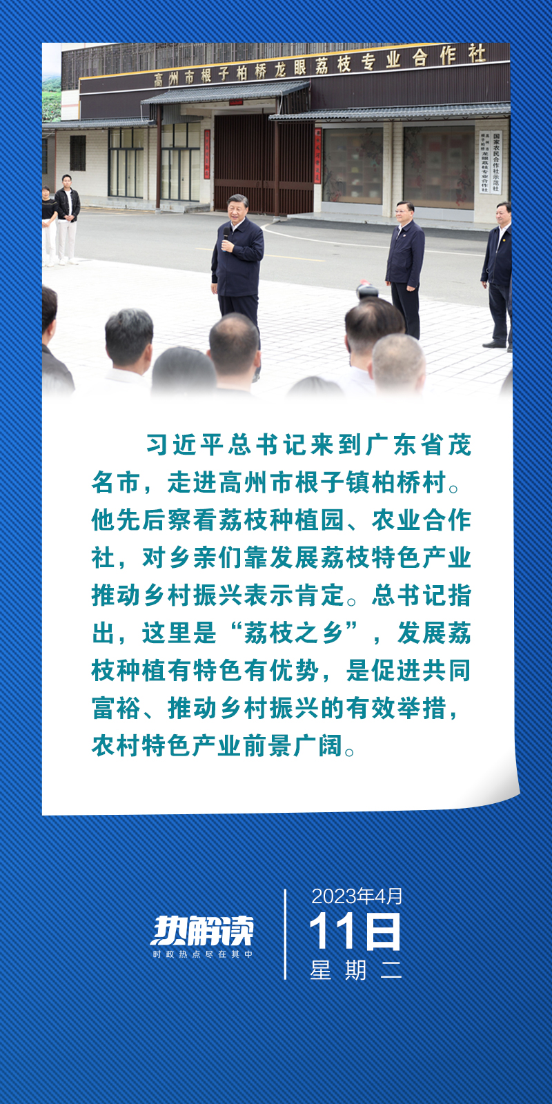  熱解讀｜來到“荔枝之鄉” 總書記再次走進合作社有何深意？