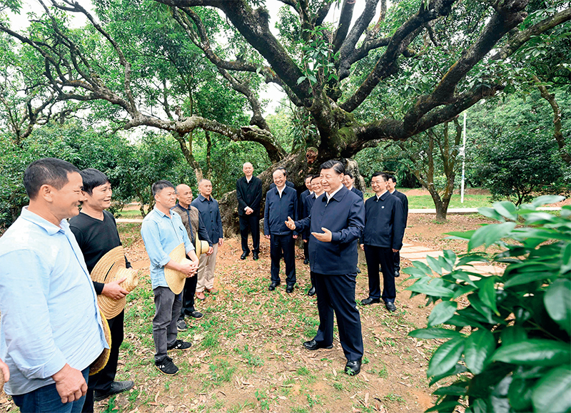 加快構建新發展格局　把握未來發展主動權