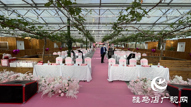 遂平縣相親聯誼活動在杰美莊園成功舉辦