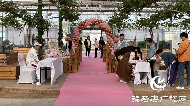 遂平縣相親聯誼活動在杰美莊園成功舉辦