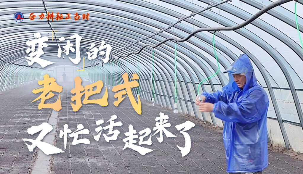 奮力耕耘正當時——農業強國建設一線的四個故事