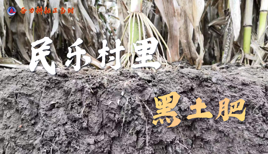 奮力耕耘正當時——農業強國建設一線的四個故事