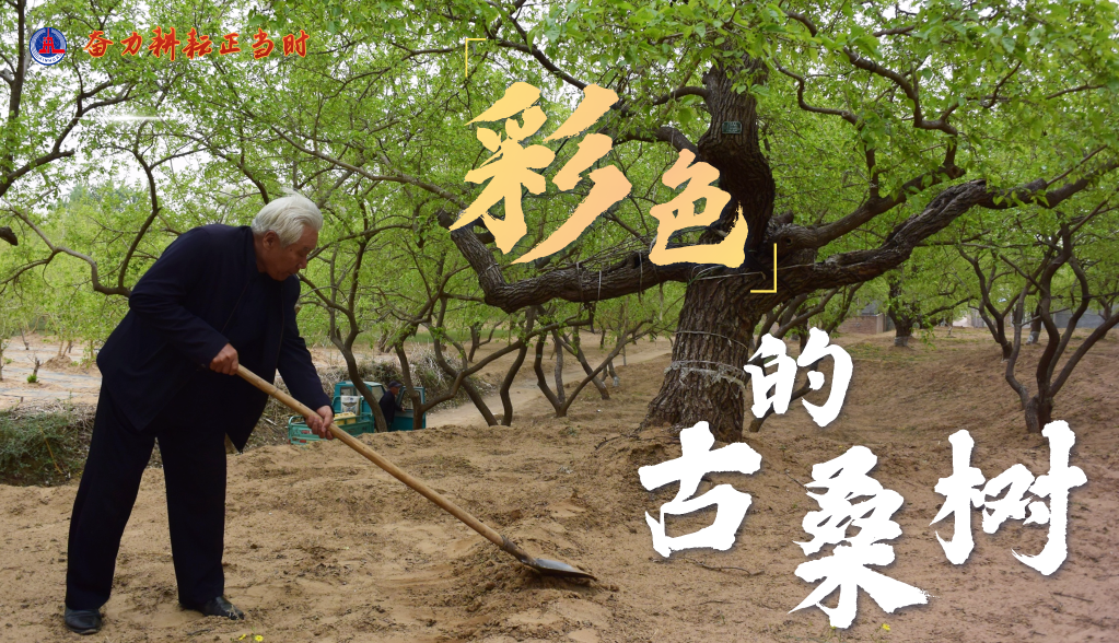 奮力耕耘正當時——農業強國建設一線的四個故事