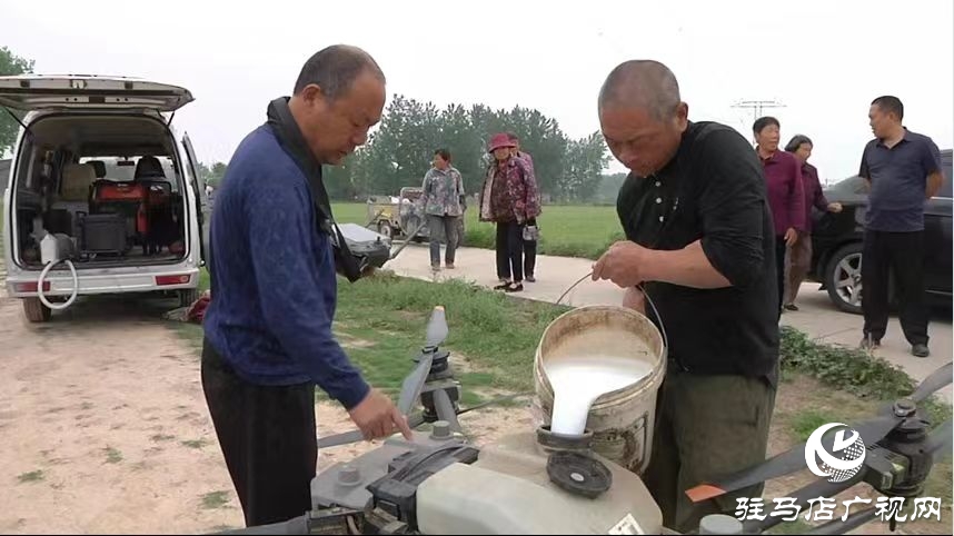 驛城區：巧借科技之力防治 助力夏糧豐產豐收