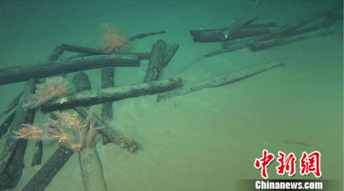 考古重大發現！南海1500米深度海域發現古代沉船
