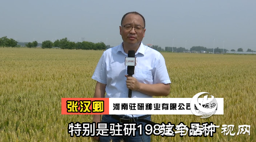 “駐研198”驚艷亮相湖北麥區