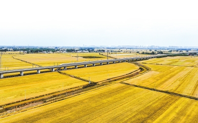 環環相（豫見好豐景——開局之年探“三夏”）——堅決打贏打好夏糧豐收攻堅戰之二