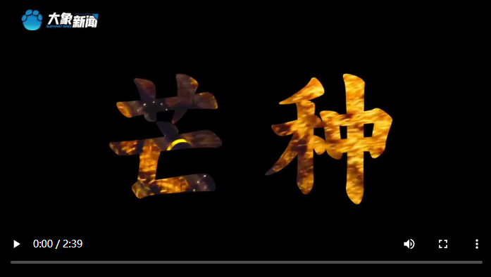 芒種 | 與天爭時 顆粒歸倉
