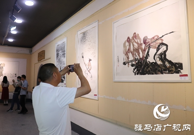 汝南縣板店鄉：鄉村畫展引客來