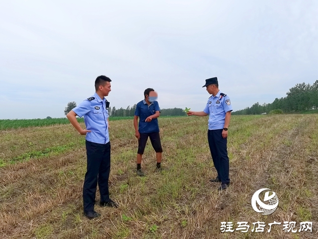  平輿：麥田除草引糾紛 耐心調解促和諧