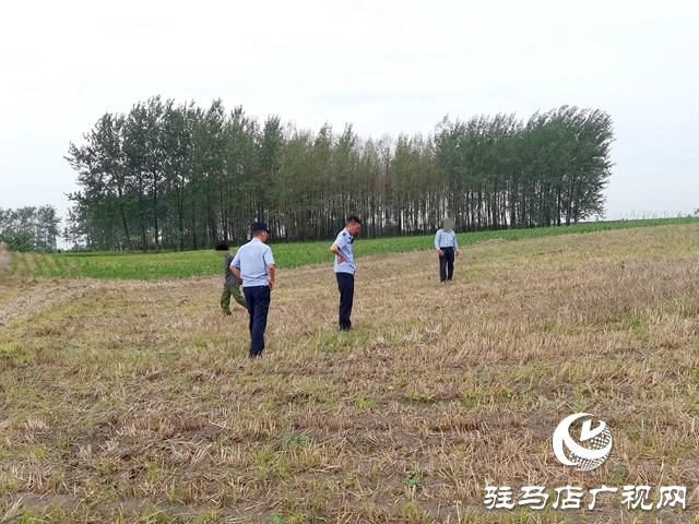  平輿：麥田除草引糾紛 耐心調解促和諧