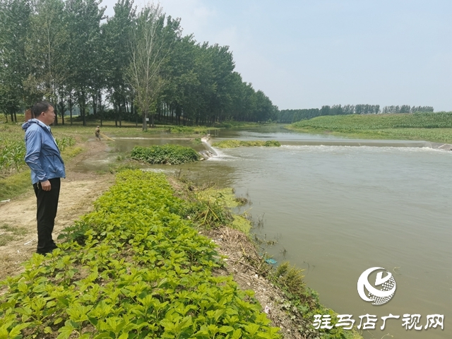 汝南縣板店鄉：監督落實河長制 描繪水清岸綠景美新畫卷