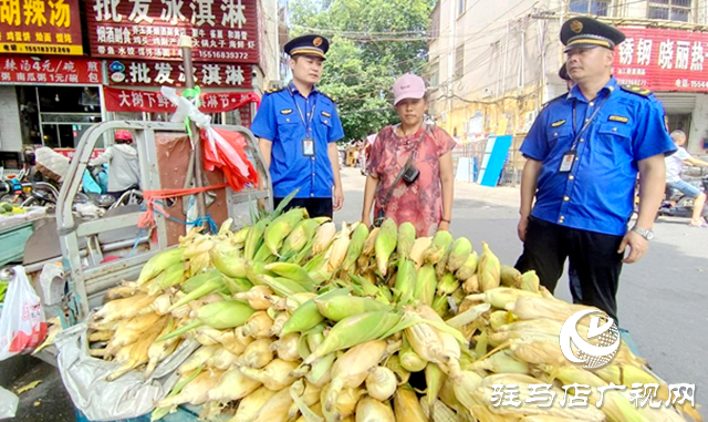 驛城區：“城管藍”戰高溫守護城市“容顏”