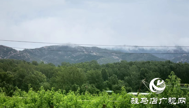 泌陽縣馬谷田鎮河南村：“直播帶貨”帶起產業發展新模式